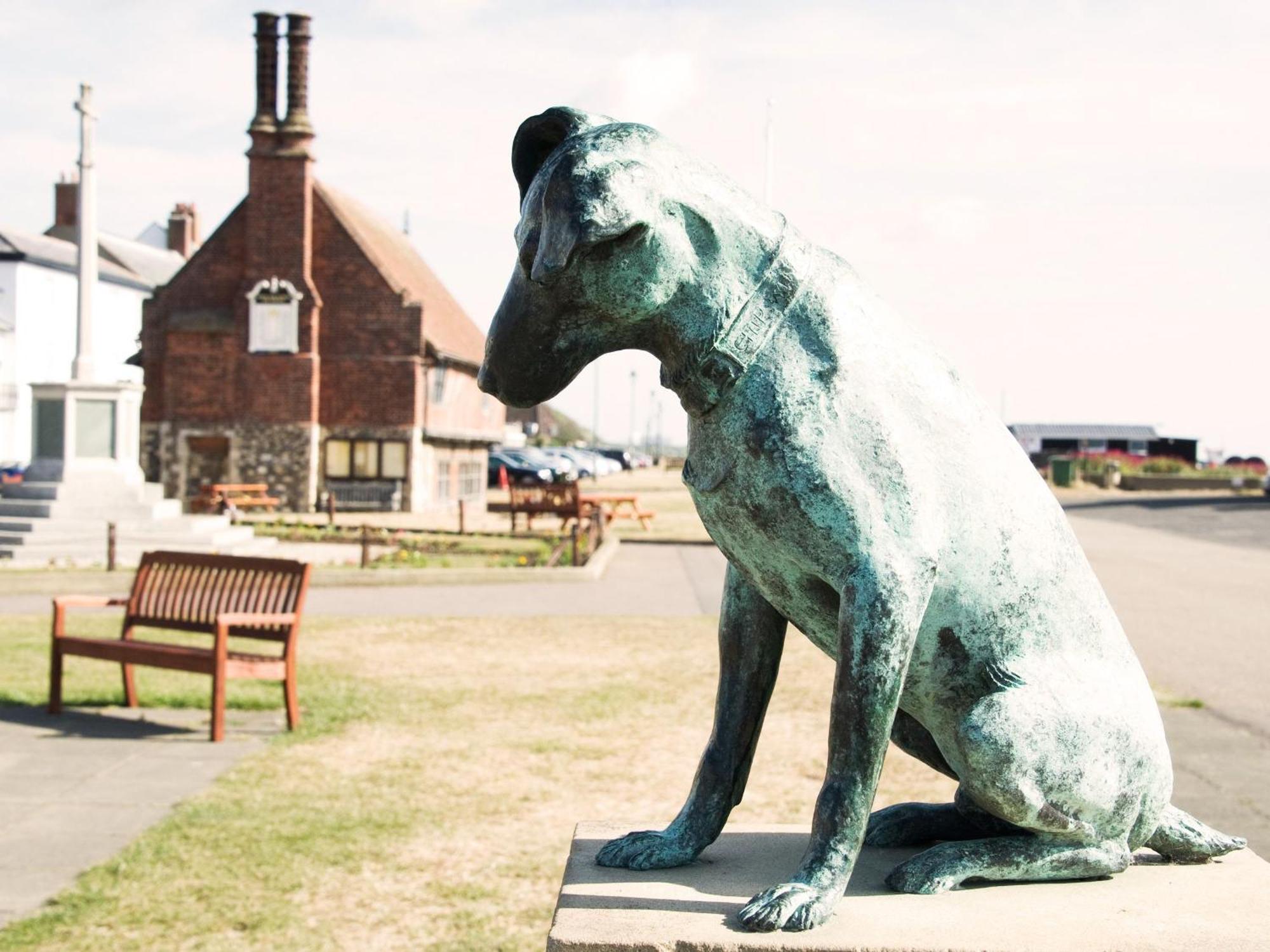 Tiger By The Suffolk Collection * Aldeburgh
